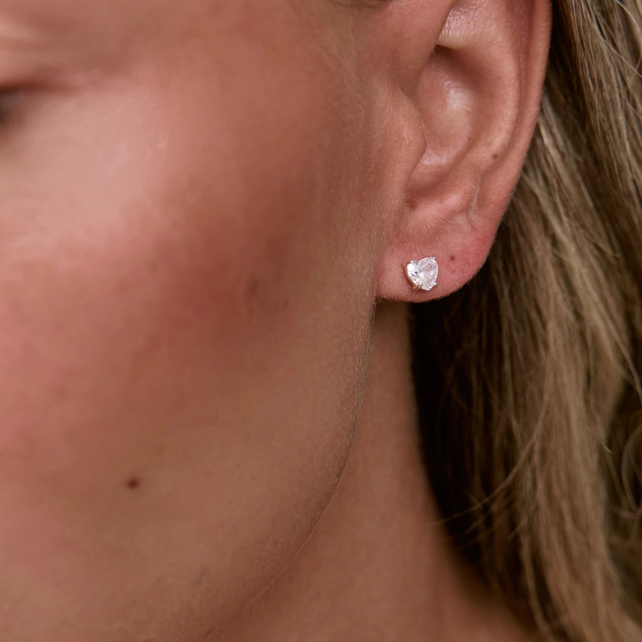 עגילי אייבי קלאסיק כסף 925